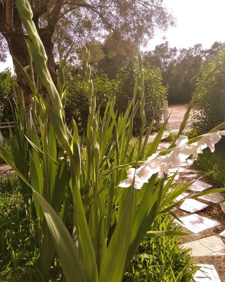 Villa Ladina Lygia  Dış mekan fotoğraf