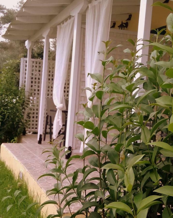 Villa Ladina Lygia  Dış mekan fotoğraf